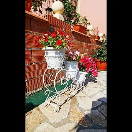 Corfu Sunflower Lejlighed